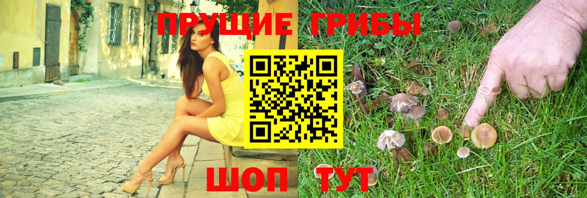 Псилоцибиновые грибы мухоморы Туапсе