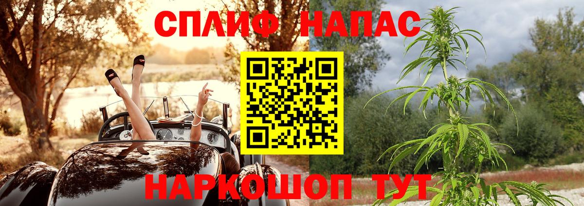 Конопля сатива Туапсе